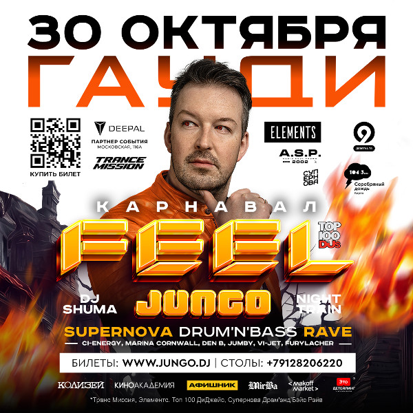 DJ Feel / Вечеринка